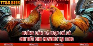 Hướng Dẫn Cá Cược Đá Gà Chi Tiết Cho Newbie Tại TT88
